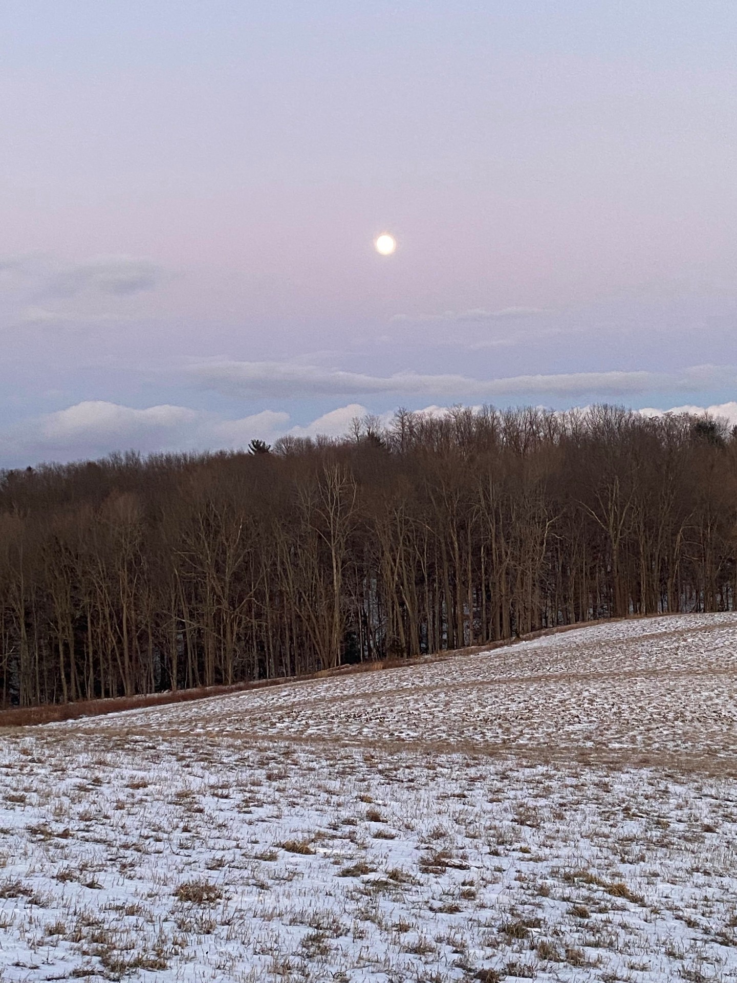 Moon rising over a snowy Hudson Valley field